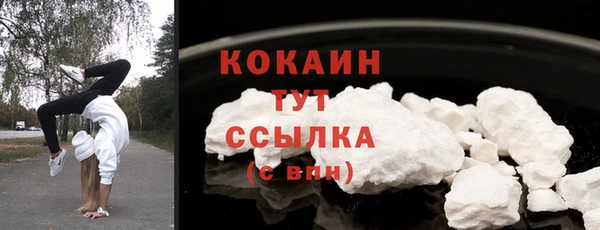 apvp Богородицк