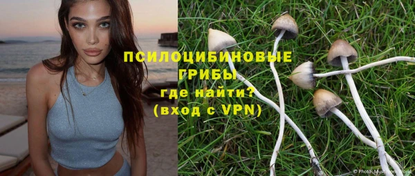 apvp Богородицк