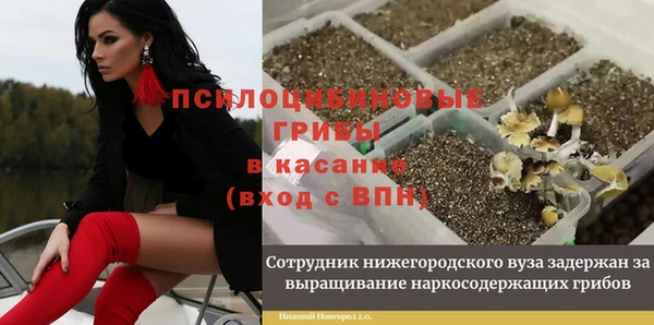 прущая мука Богданович