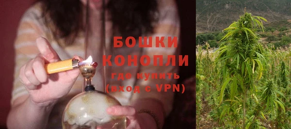 прущая мука Богданович